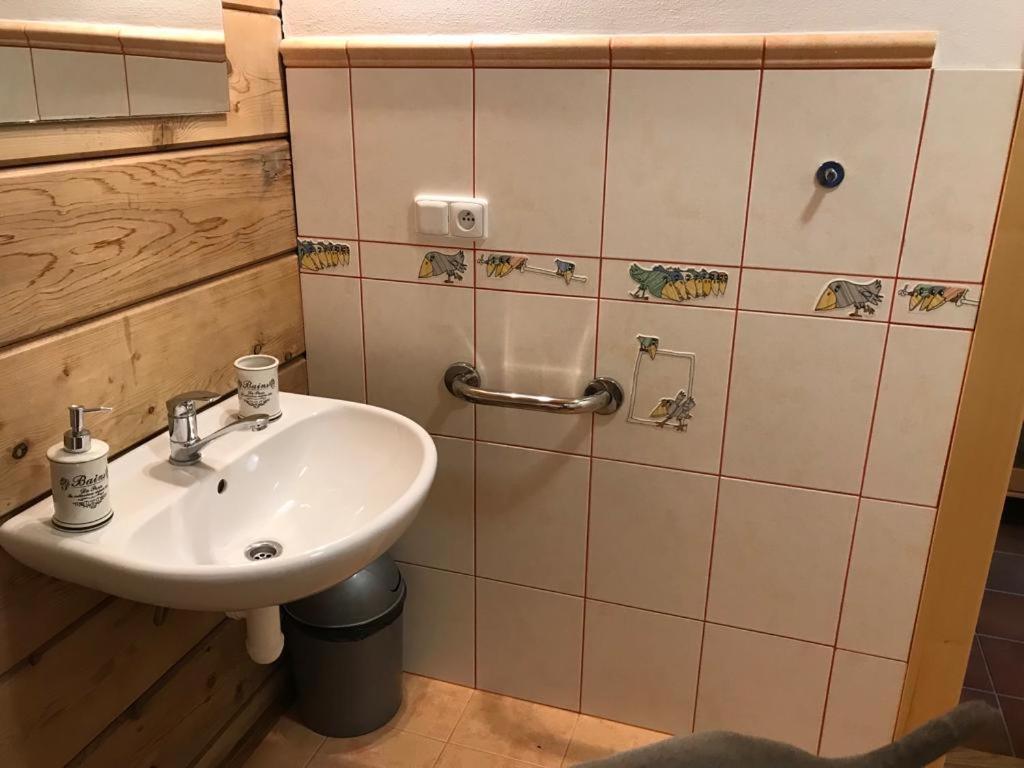 Samota U Hadince Hotel Bartosovice v Orlickych Horach ภายนอก รูปภาพ