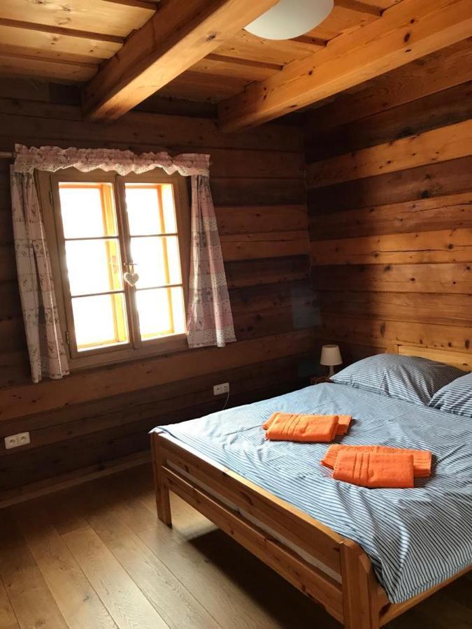 Samota U Hadince Hotel Bartosovice v Orlickych Horach ภายนอก รูปภาพ