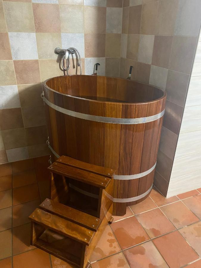 Samota U Hadince Hotel Bartosovice v Orlickych Horach ภายนอก รูปภาพ